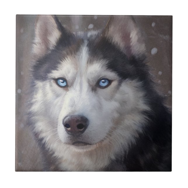 Siberian Husky Fliese (Vorderseite)