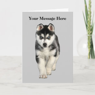 Siberian Husky Grußkarte Feiertagskarte