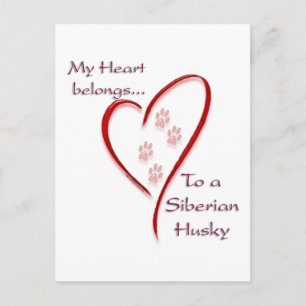 Siberian Husky Heart Belongs Postkarte