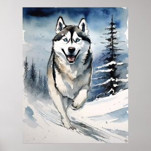 Siberian Husky - Hundekunst drucken Poster