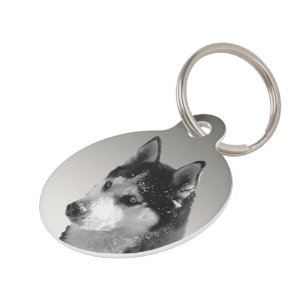 Siberian Husky Huskybild Haustiermarke