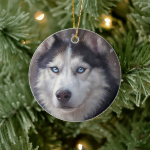 Siberian Husky Keramik Ornament