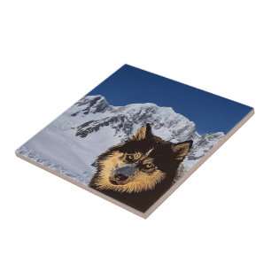 Siberian Husky Keramik Tile Fliese