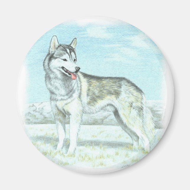 Siberian Husky Magnet (Vorne)