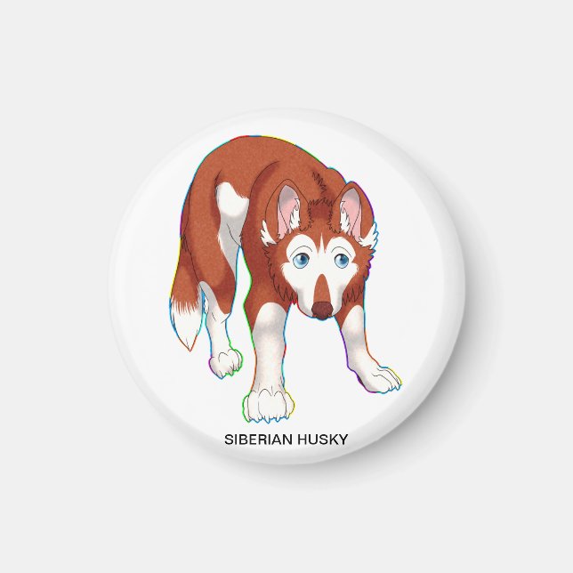 SIBERIAN HUSKY MAGNET (Vorne)