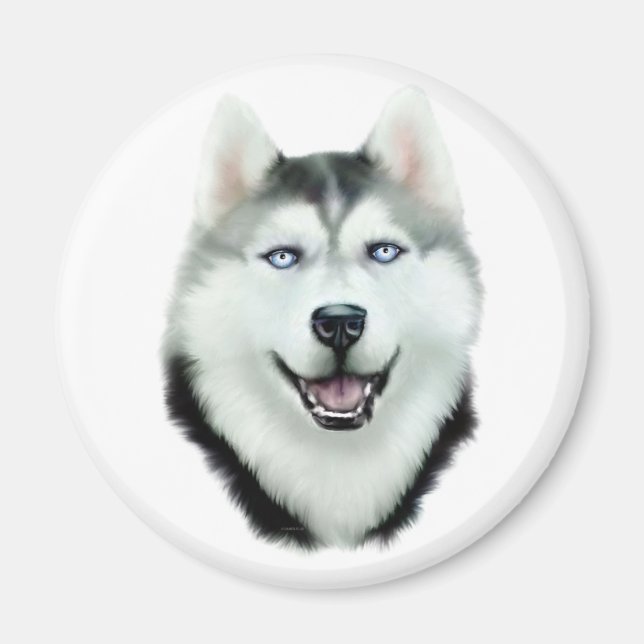 Siberian Husky Magnet (Vorne)