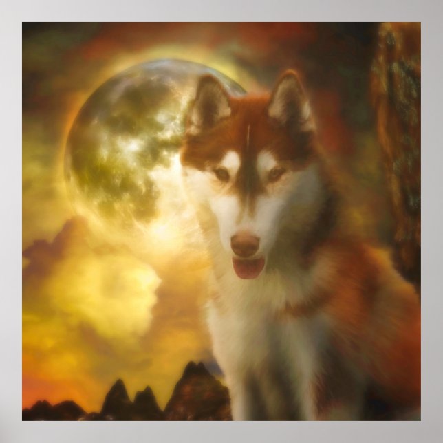 SIBERIAN HUSKY MOON KINGDOM POSTER (Vorne)