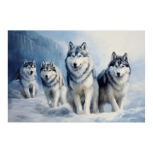 Siberian Husky Pack