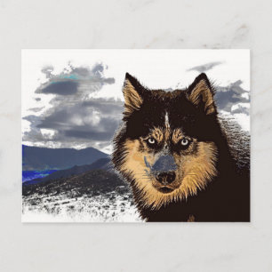 Siberian Husky Postcard Postkarte