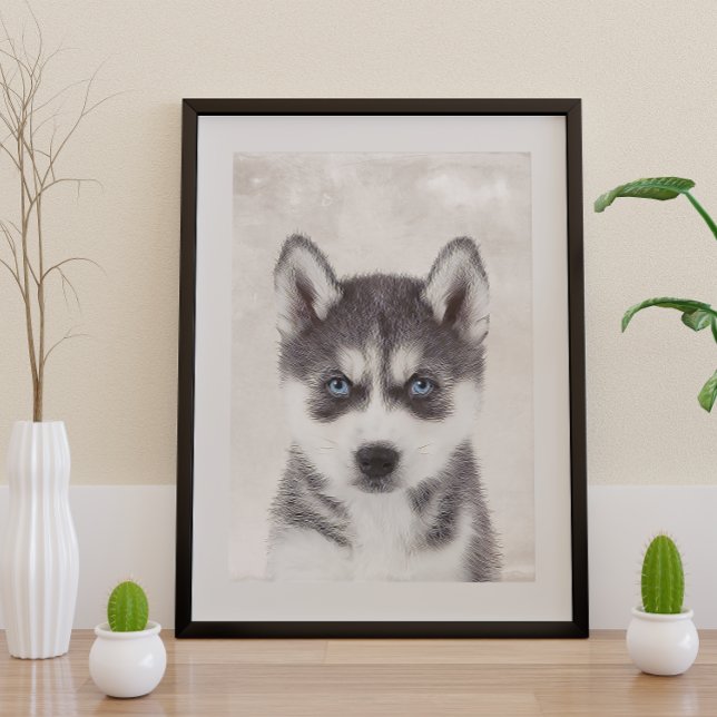 Siberian Husky Poster (Von Creator hochgeladen)