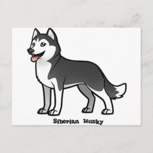Siberian Husky Postkarte