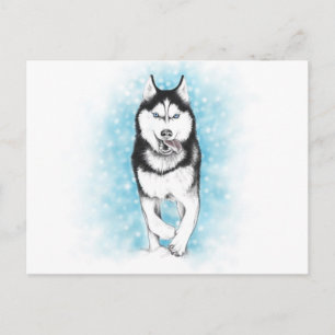 Siberian Husky Postkarte