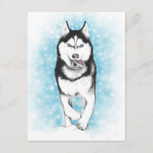 Siberian Husky Postkarte