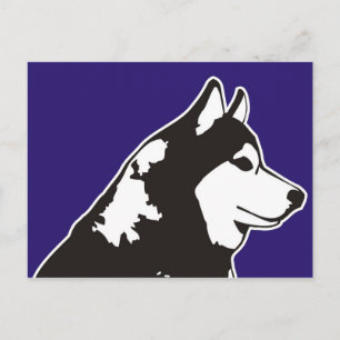 Siberian Husky Postkarte