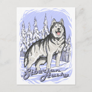 Siberian Husky Postkarte