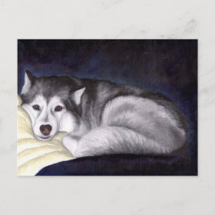 Siberian Husky Postkarte