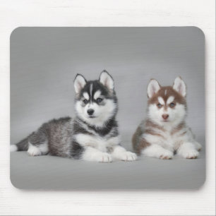 Siberian husky puppies mousepad