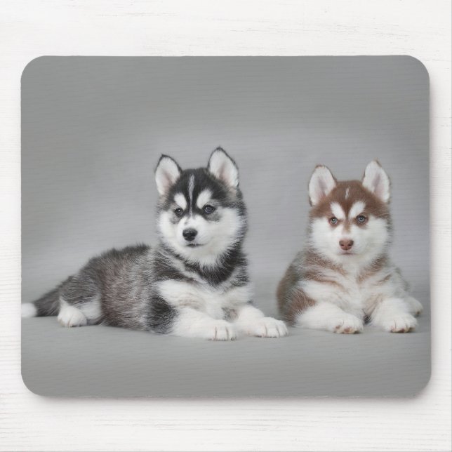 Siberian husky puppies mousepad (Vorne)