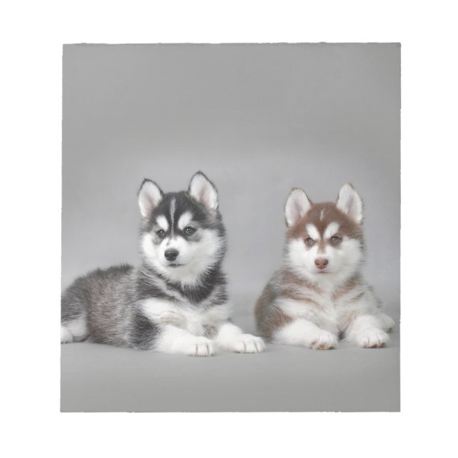 Siberian husky puppies notizblock (Vorderseite)