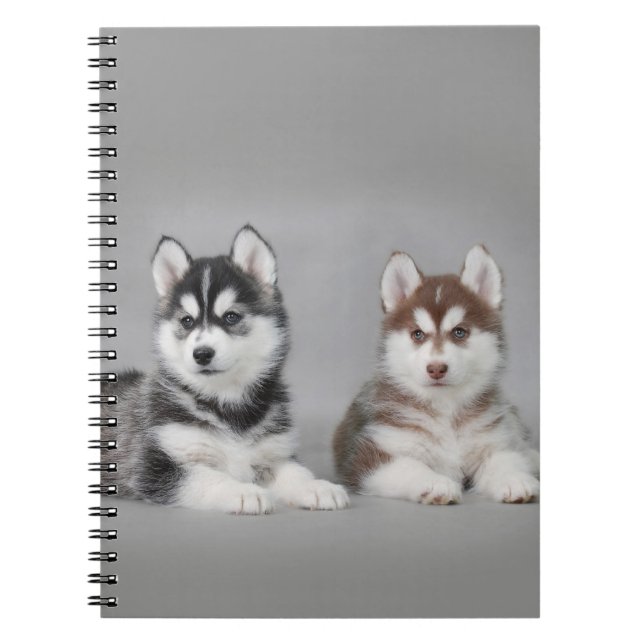 Siberian husky puppies notizblock (Vorderseite)