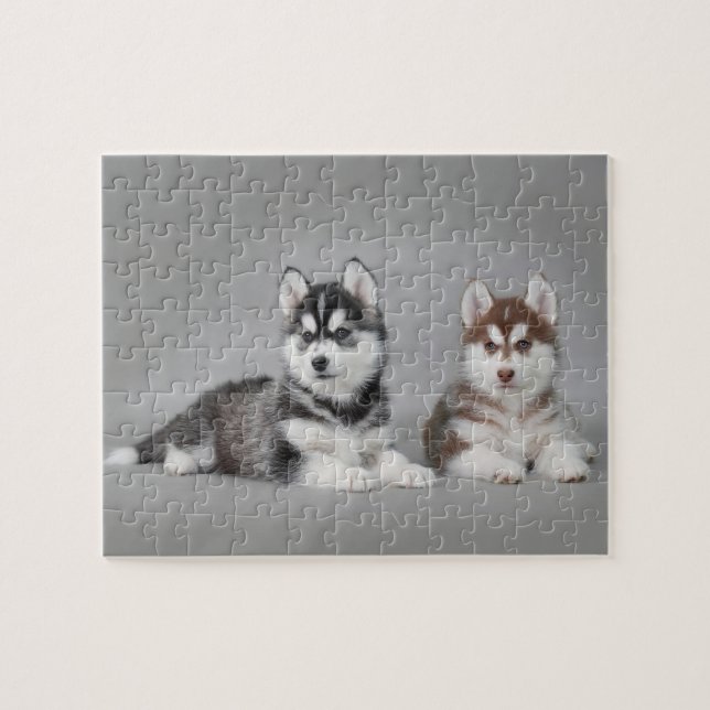 Siberian husky puppies puzzle (Horizontal)