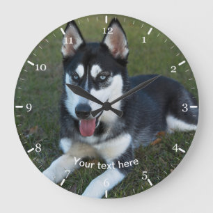 Siberian Husky puppy Große Wanduhr