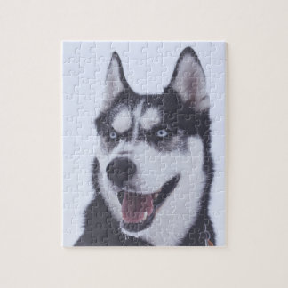 Siberian Husky Puzzle