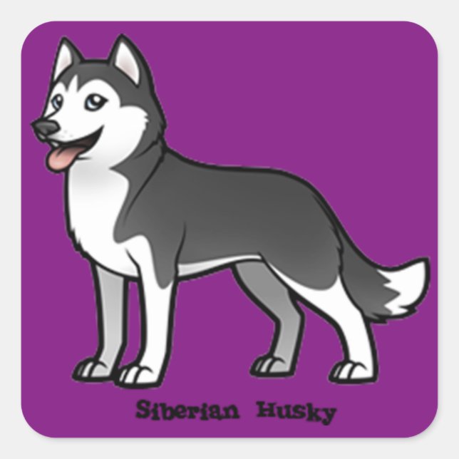 Siberian Husky Quadratischer Aufkleber (Vorderseite)
