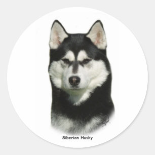 Siberian Husky Runder Aufkleber