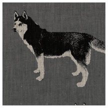 Siberian Husky schwarz weiß stehend Muster