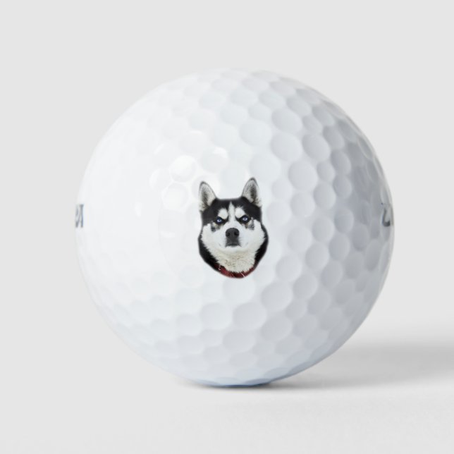 Siberian Husky sieht wütend aus Golfball (Vorderseite)