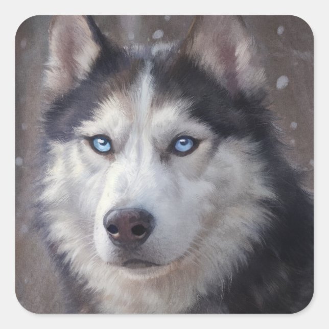 Siberian Husky Snow Quadratischer Aufkleber (Vorderseite)