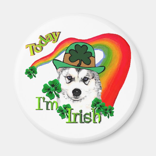 Siberian Husky St Patricks Day Magnet (Vorne)