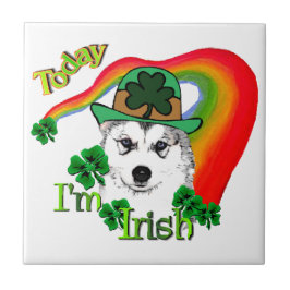 Siberian Husky St Patrick's Fliese