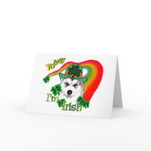 Siberian Husky St Patrick's