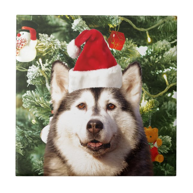 Siberian Husky Weihnachtsbaum Ornamente Schneemann Fliese (Vorderseite)