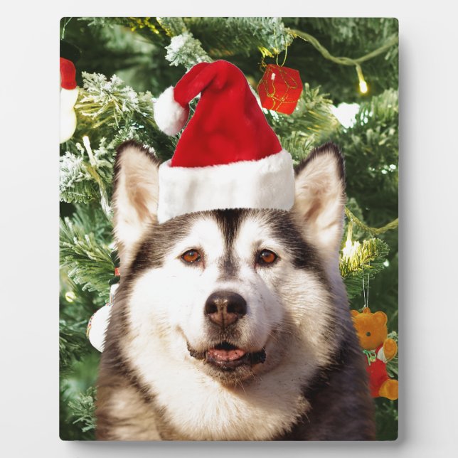 Siberian Husky Weihnachtsbaum Ornamente Schneemann Fotoplatte (Vorderseite)
