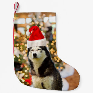 Siberian Husky Weihnachtsbaumhut Kleiner Weihnachtsstrumpf