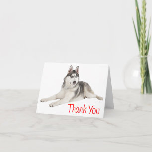 Siberian Husky Welppy Dog Red Danke - Blank
