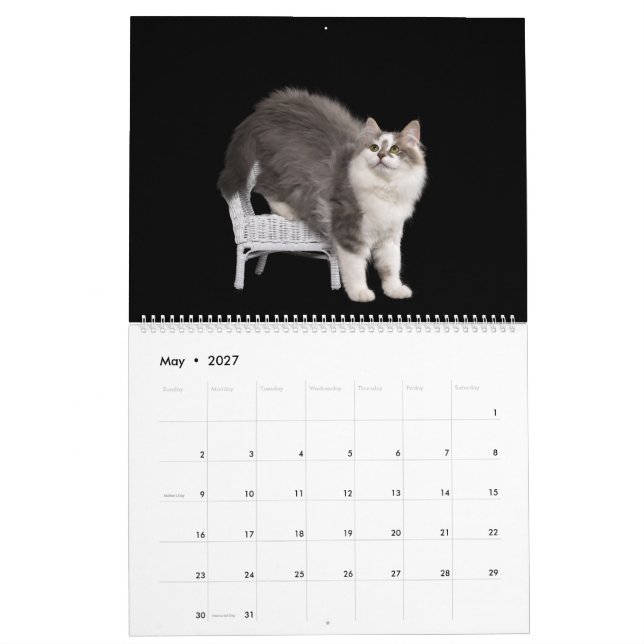Siberian Kittens Calendar Kalender (Mai 2027)