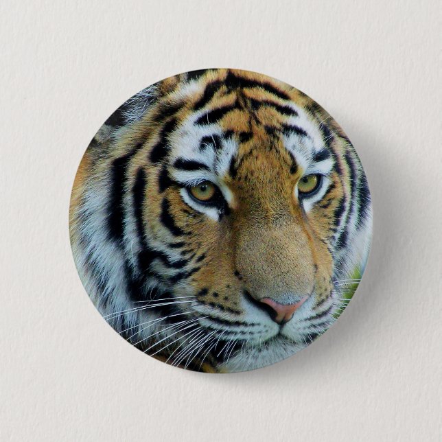 Siberian Tiger Button (Vorderseite)