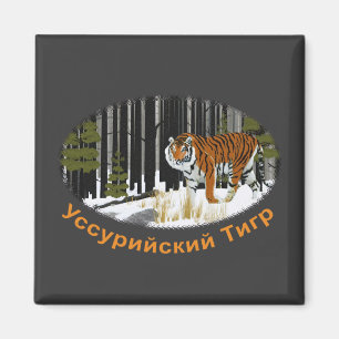 Siberian Tiger Magnet