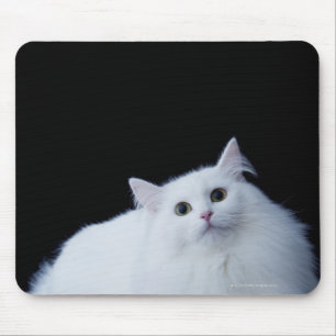 Siberische Katze Mousepad