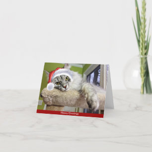 Siberische Weihnachtskarte Feiertagskarte