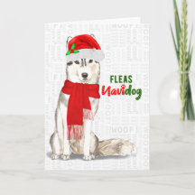 Siberischer Huskey Weihnachtshund Fleas NaviDOG