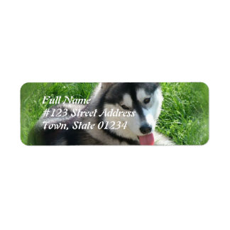 Siberischer Husky-Dog-Postleitzahl