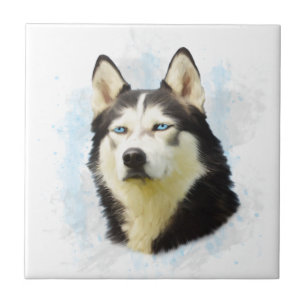 Siberischer Husky Hund Farbe Farbe Farbe Malerei Fliese