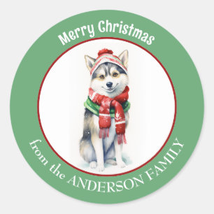 Siberischer Husky Hund in Red Christmas Scarf und  Runder Aufkleber