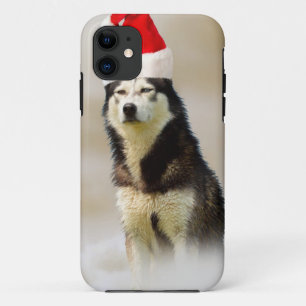 Siberischer Husky-Hund mit Weihnachtsmannmütze im  Case-Mate iPhone Hülle