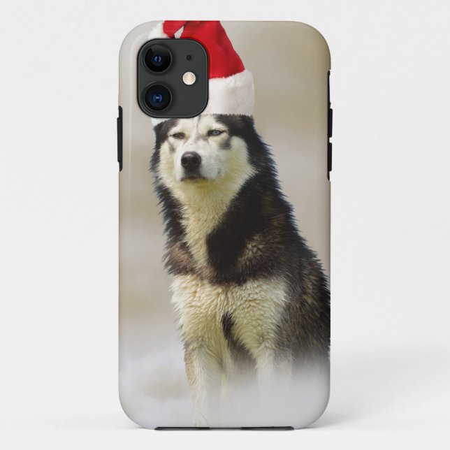 Siberischer Husky-Hund mit Weihnachtsmannmütze im  Case-Mate iPhone Hülle (Rückseite)